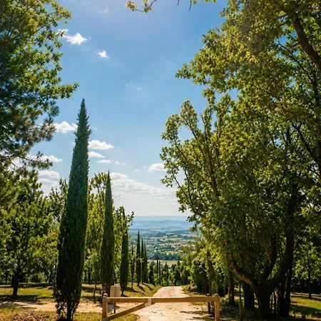 Domaine De Pech Et Lafon Avec Privatif Dans Les Arbres Chata
