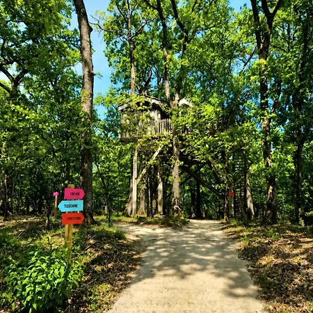 Domaine De Pech Et Lafon Avec Privatif Dans Les Arbres * Clairac (Lot-et-Garonne)